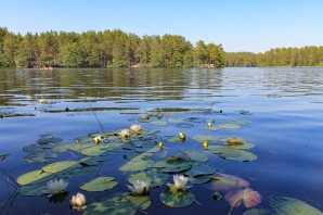 Плетневое озеро ленинградская область