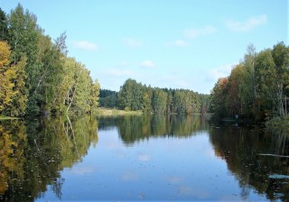 Река липка красногорский район
