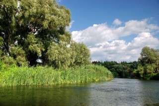 Река разуменка белгородская область