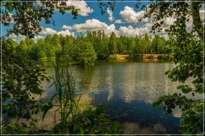 Лесное озеро московская область