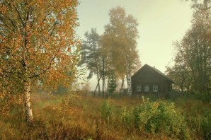 Осенний лес в деревне