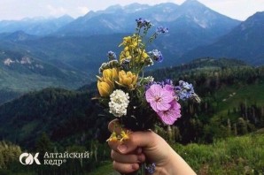 Алтайские цветы
