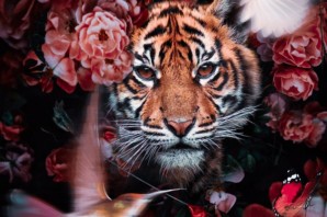 Тигр в цветах