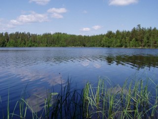 Озеро нерское дмитровский