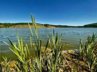 Большое симагинское озеро зеленогорск