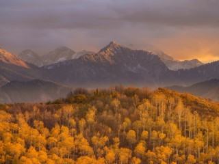 Осень лес горы