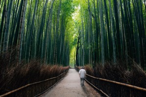 Бамбуковый лес киото япония