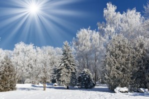 Зима деревья небо