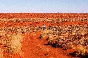 Пустыня гибсона в австралии