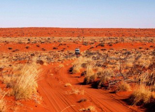 Пустыня гибсона в австралии
