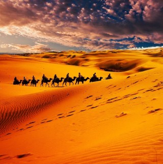 Пустыня вечером