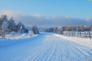 Природа татарстана зимой