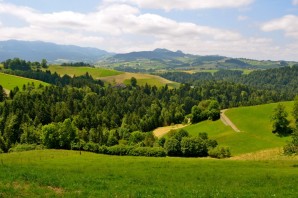 Природа восточно европейской равнины