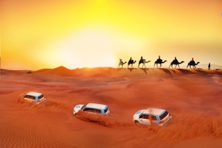 Сафари в пустыне абу даби