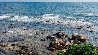Охрана природы азовского моря