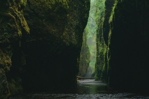 Пещера в джунглях