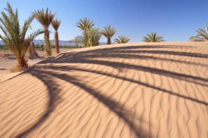 Пустыня найроби