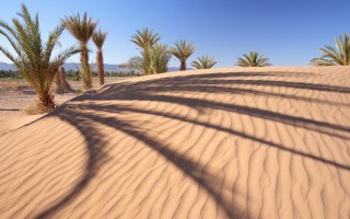 Пустыня найроби