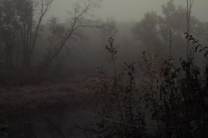 Темный туман
