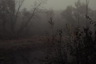 Темный туман