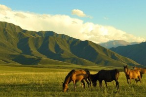 Великая степь казахстана