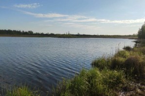 Вознесенский пруд нижегородская область