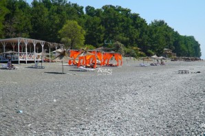 Пицунда абхазия пляж с соснами