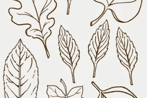 Листья шаблоны для вырезания