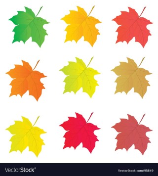 Цветные кленовые листья шаблоны для вырезания