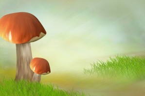 Грибной фон для презентации