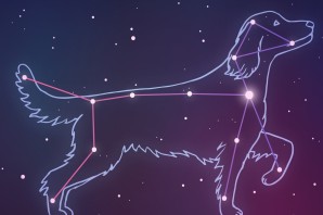 Модель созвездия большой пес из пластилина