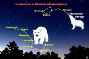 Большая и малая медведица своими руками