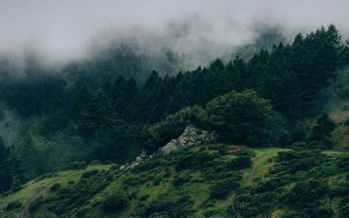 Обои зеленые горы на рабочий стол