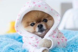 Мимимишные обои на рабочий стол