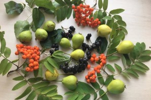 Рябина своими руками для детского сада