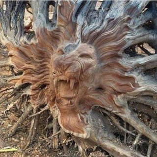 Фигуры из корней деревьев