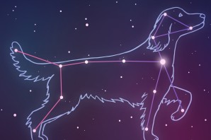 Созвездие большой пес из пластилина