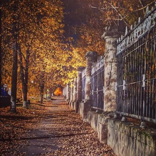 Вечерний осенний парк