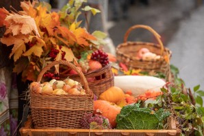 Осенняя сельскохозяйственная ярмарка