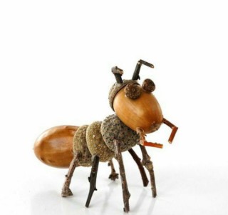 Насекомые из желудей