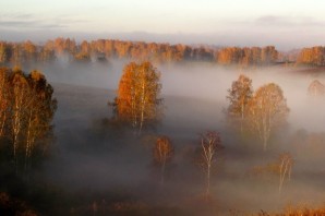 Осенний утренний туман
