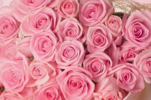 Розовые розы с днем рождения