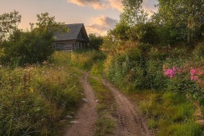 Летний день в деревне