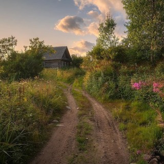 Летний день в деревне