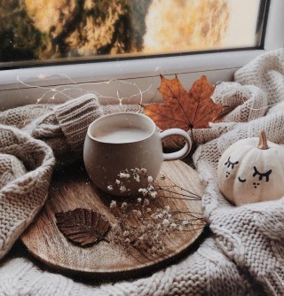 Осеннее утро со снегом