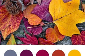 Осенняя палитра красок