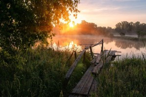 Летнее утро в деревне