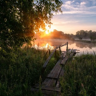 Летнее утро в деревне