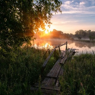 Летнее утро в деревне