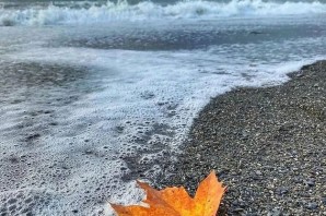 Осенний морской пейзаж